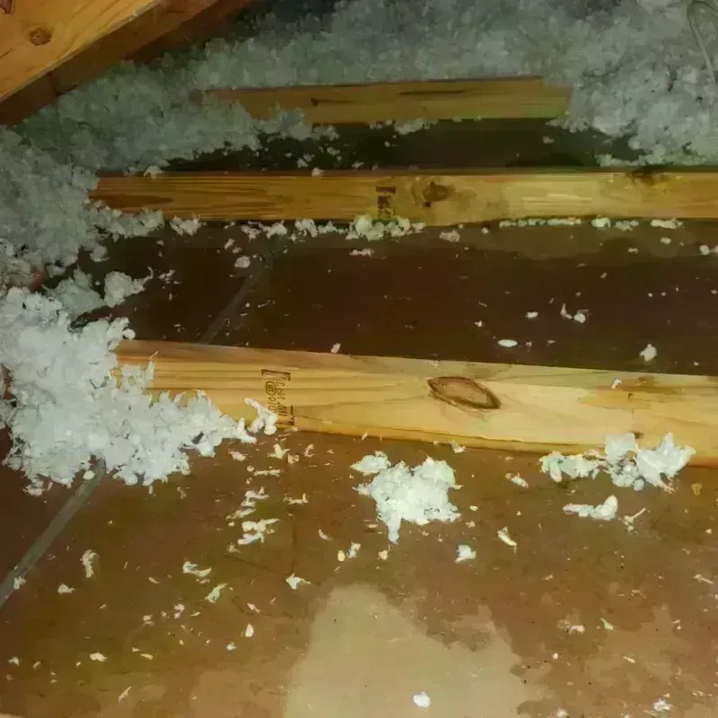 Attic Water Damage in Bertram, TX